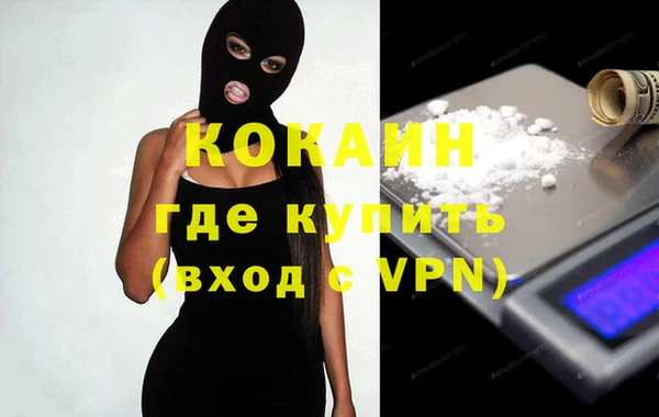 apvp Бородино