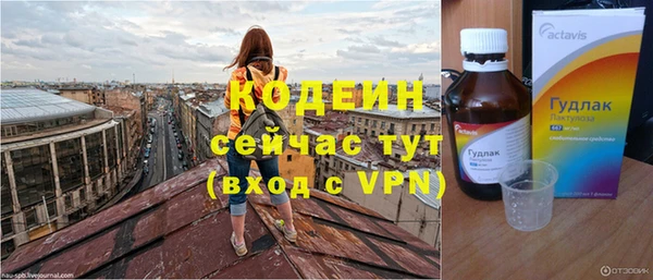 apvp Бородино