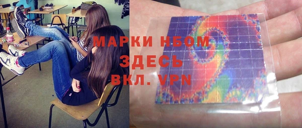 apvp Бородино