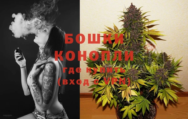 apvp Бородино