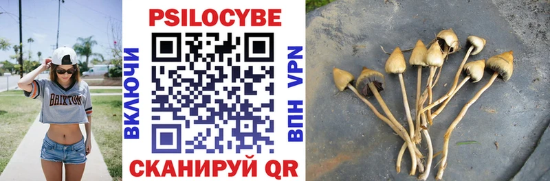 Галлюциногенные грибы GOLDEN TEACHER  Купить где  Архангельск 